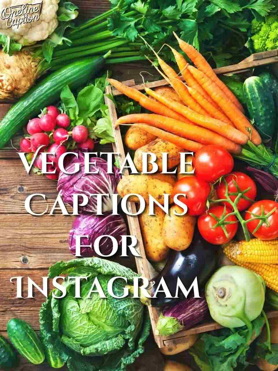Vegetable Captions For Instagram