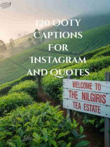 120 Ooty Captions For Instagram and Quotes