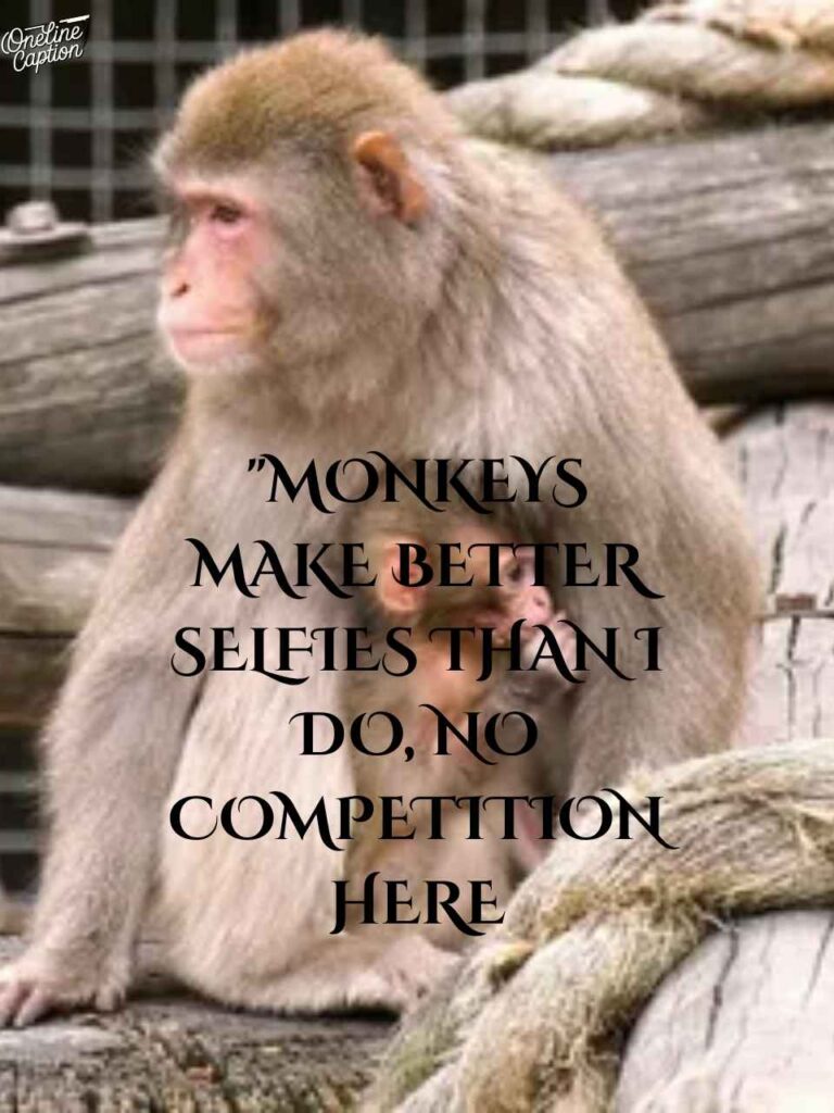 Clever Zoo Captions For Instagram