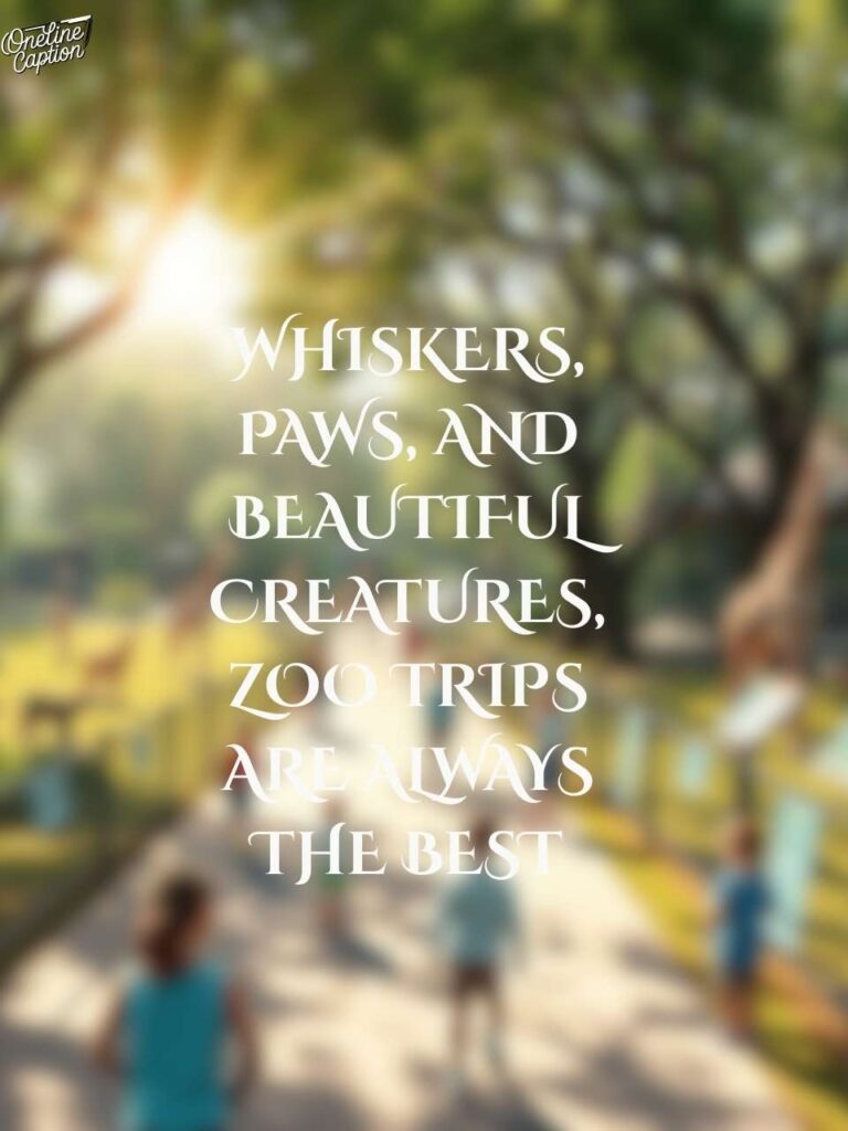 Creative Zoo Captions For Instagram