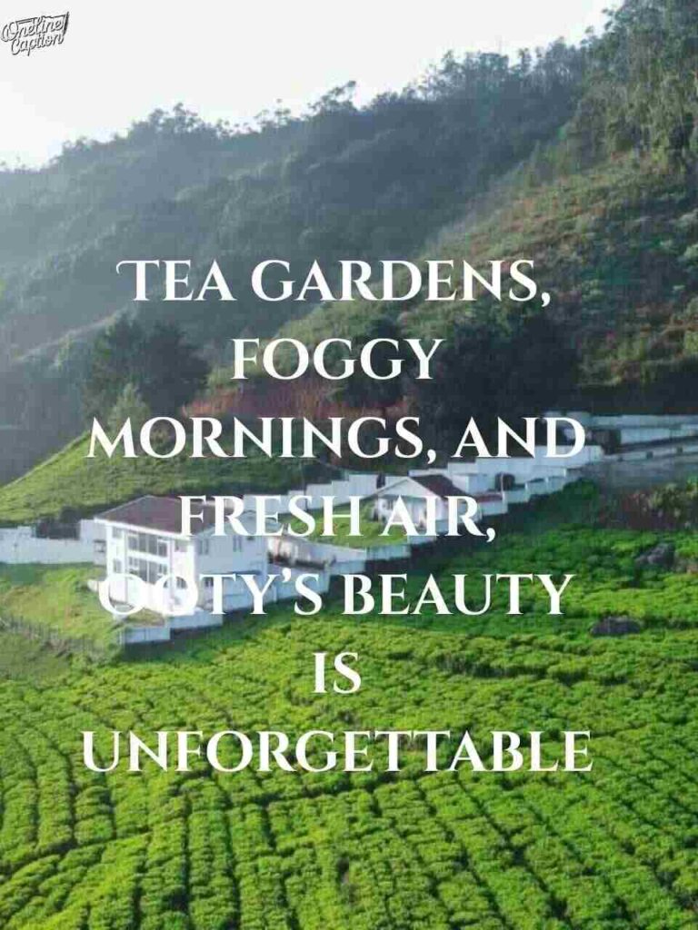 Ooty Captions For Instagram Post