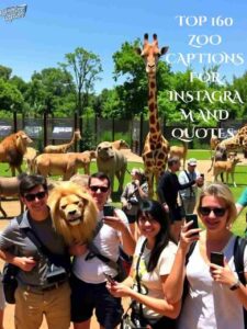 Top 160 Zoo Captions For Instagram and Quotes